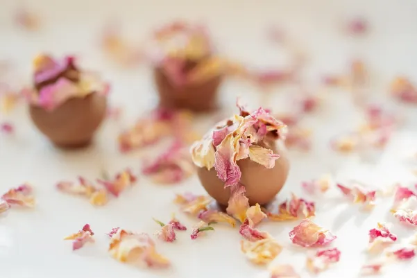 Bet24star Casino Android/iOS Forrit